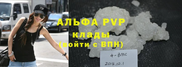 ГАЛЛЮЦИНОГЕННЫЕ ГРИБЫ Карталы